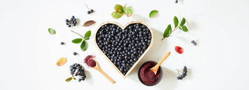 Aronia: Superkraft von innen und außen