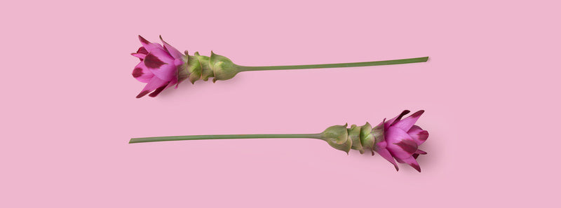 Kurkuma für die Haut