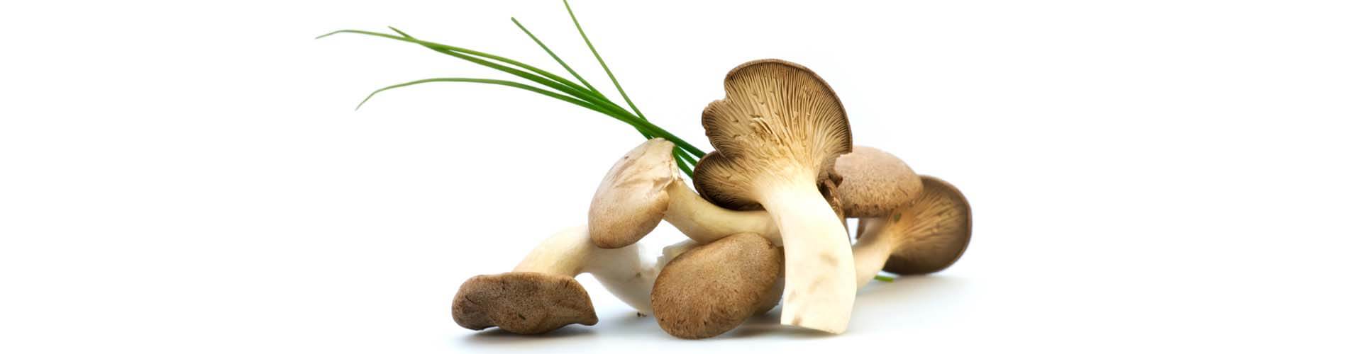 Starkmacher Beta Glucane