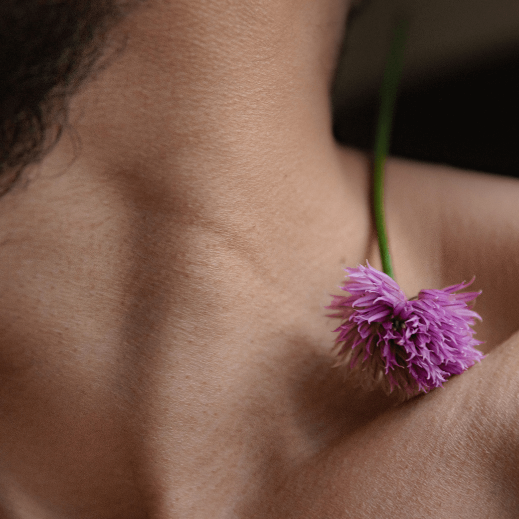 shopify-header-blog-hautpflege-bio